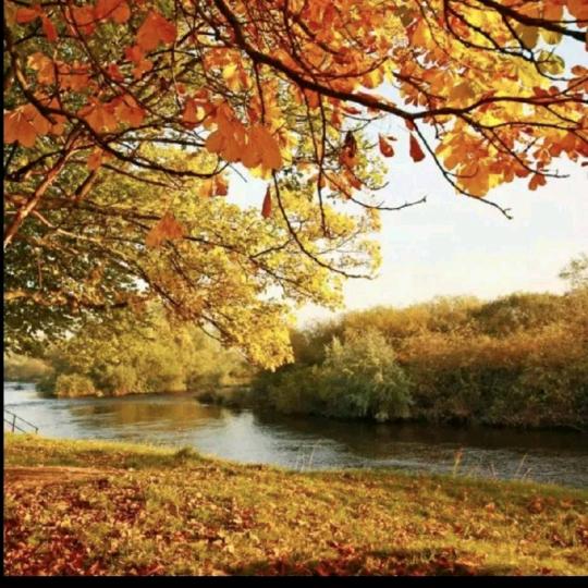 秋水伊人——1967