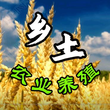 乡土 农业养殖