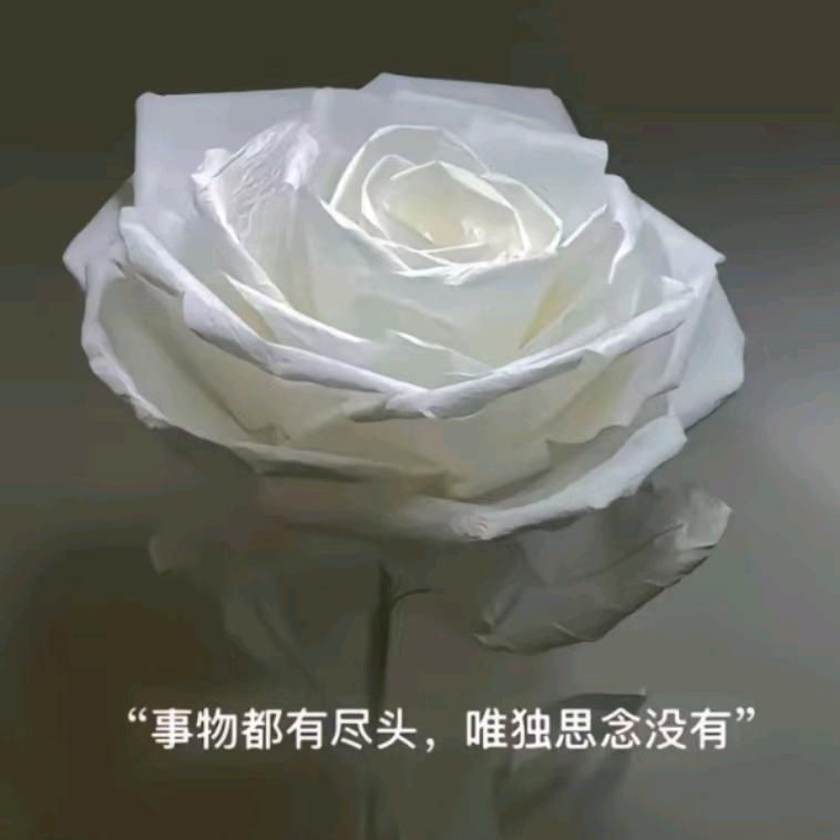 💫利哥