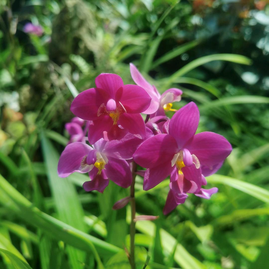 开心(✪▽✪)快乐