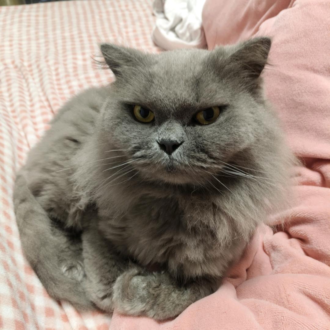 淮安彩虹人生！小姜