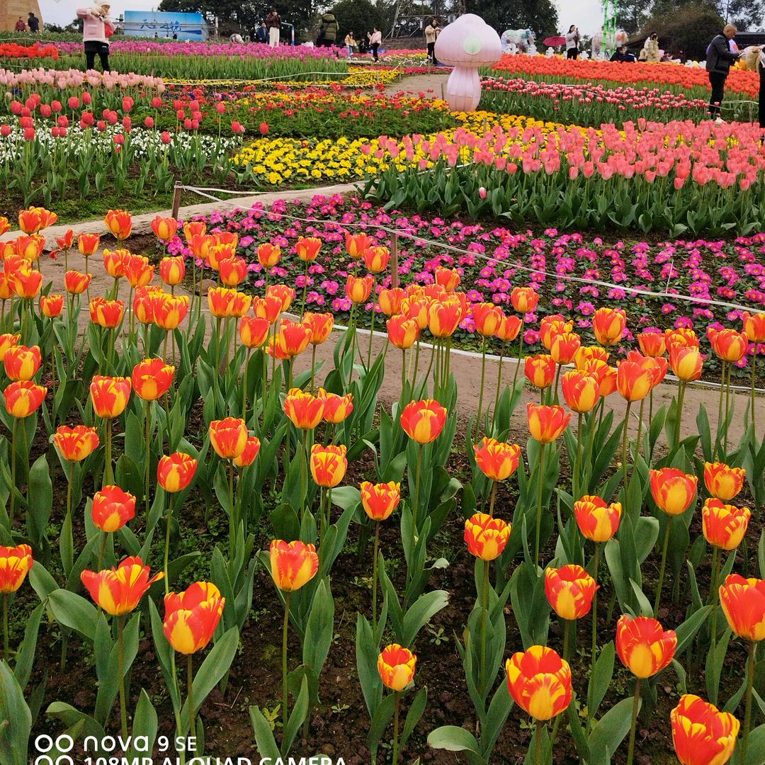 凝眸牵不住时光《拒绝闲聊》