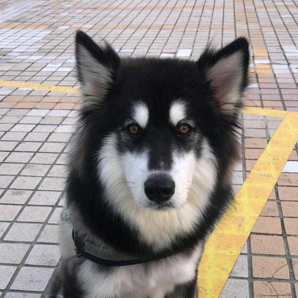 NO十一