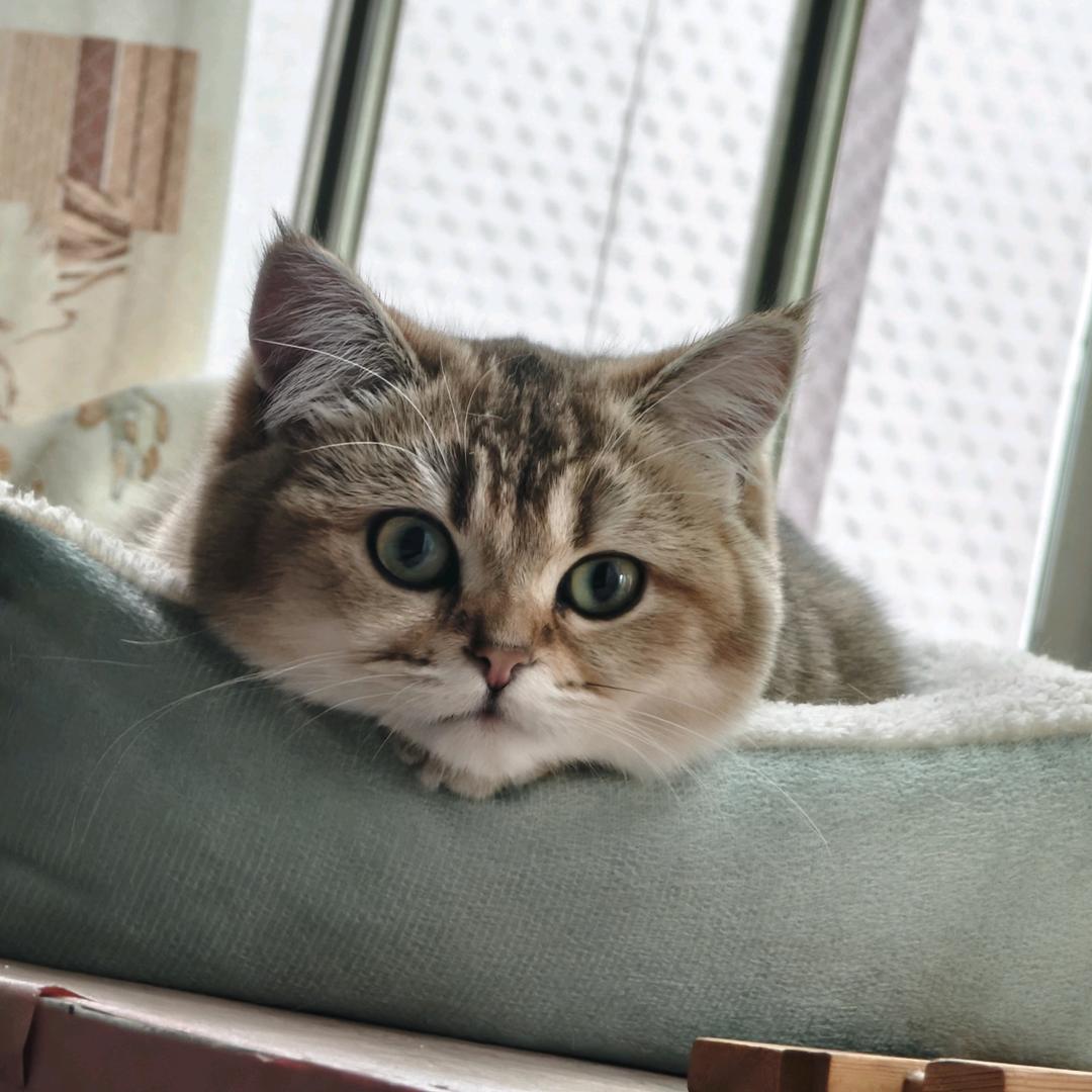 🌈百事可乐有没有事