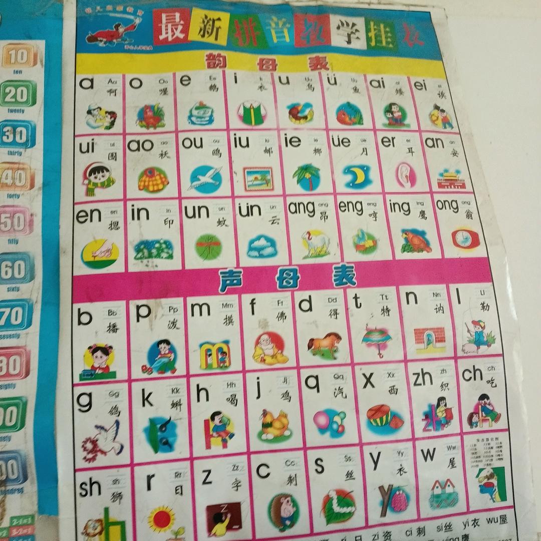 兰草花