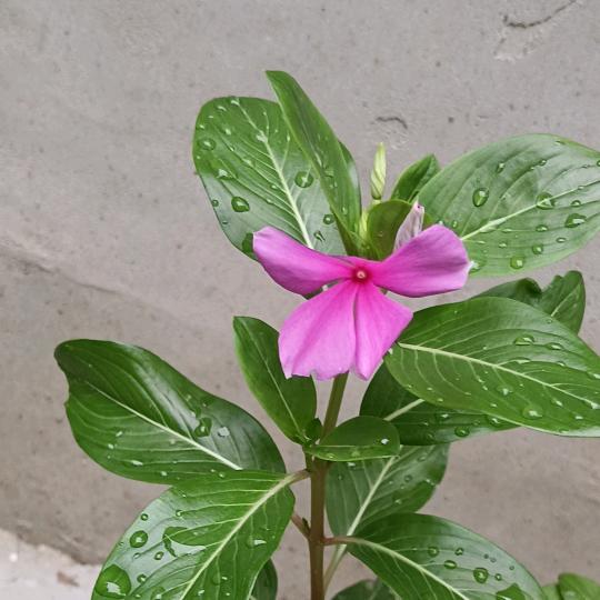 (•‿•)微笑🙂向暖(●♡∀♡)