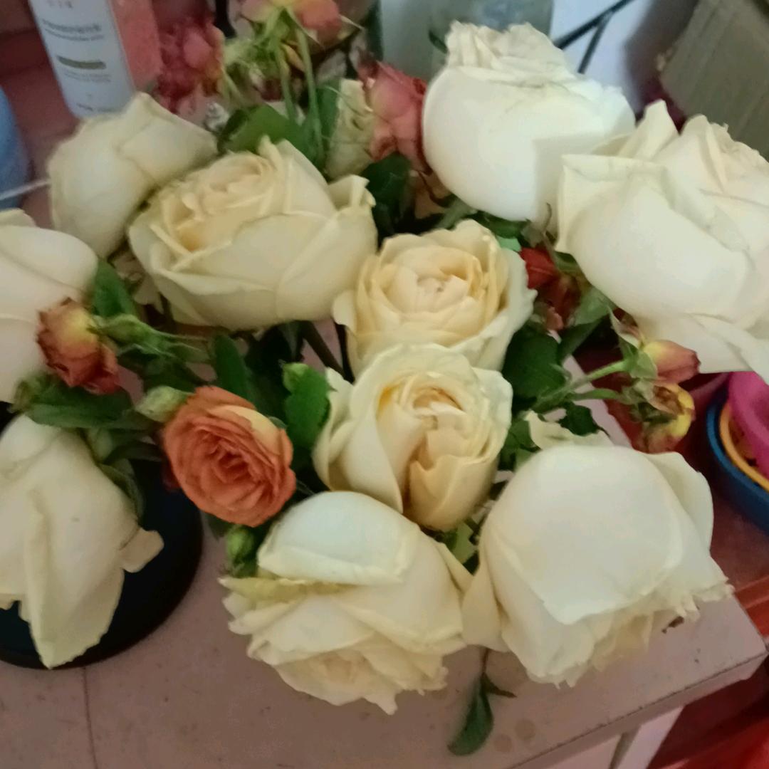 珍惜未来🌹🌹🌹🌺🌺🌺