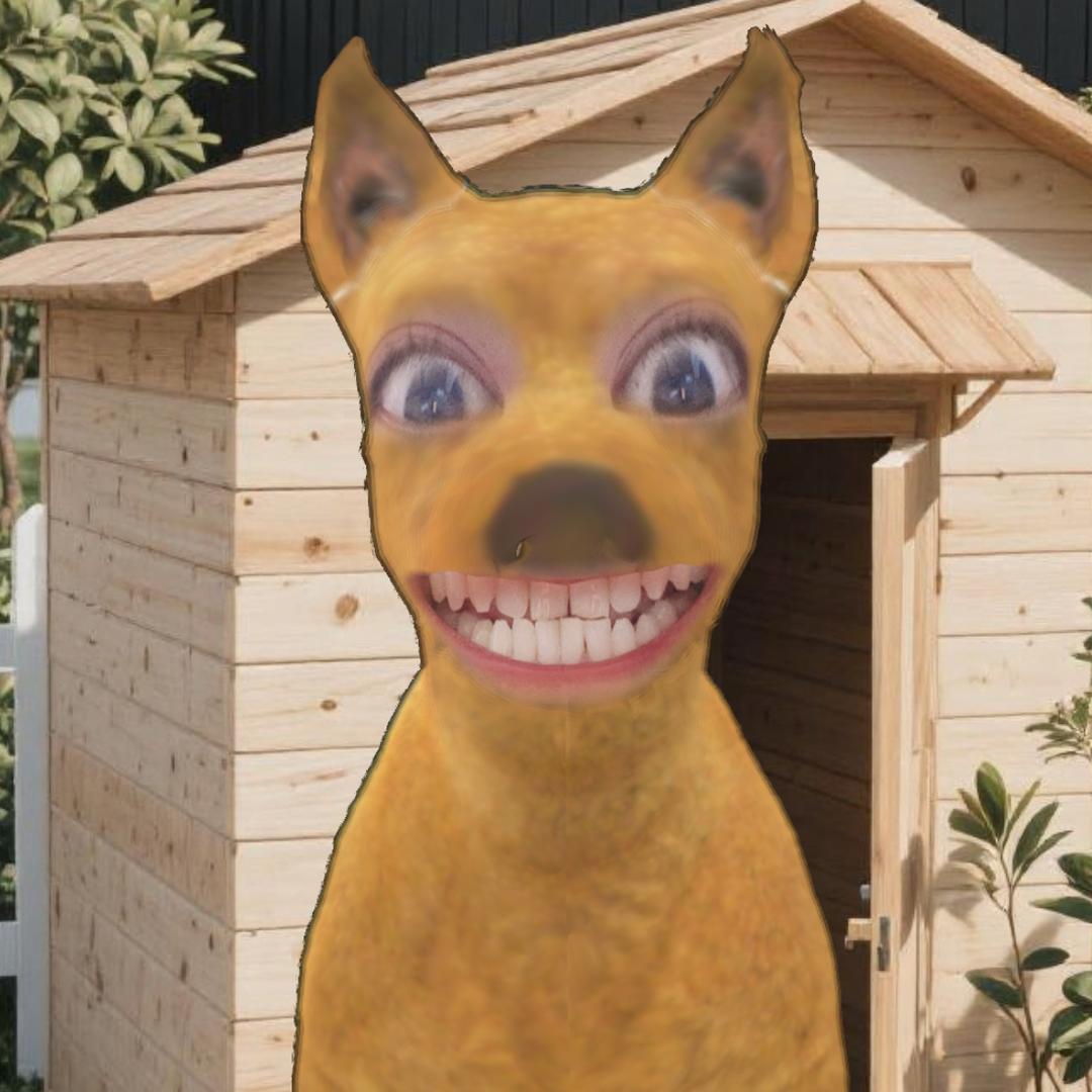 狒说