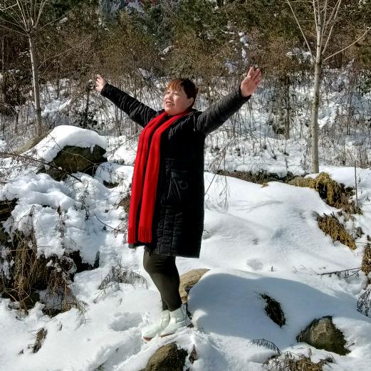 红韵（秦岭山下弥猴桃）