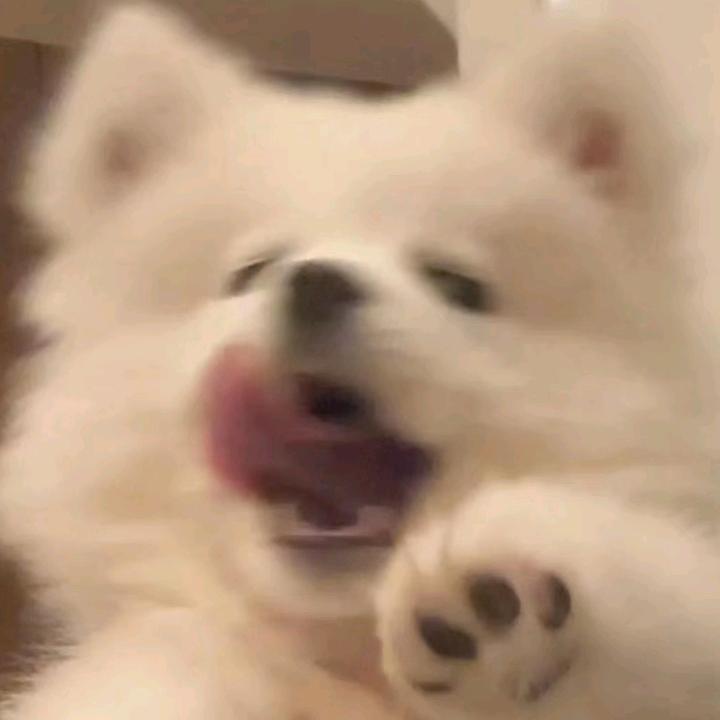 福柏