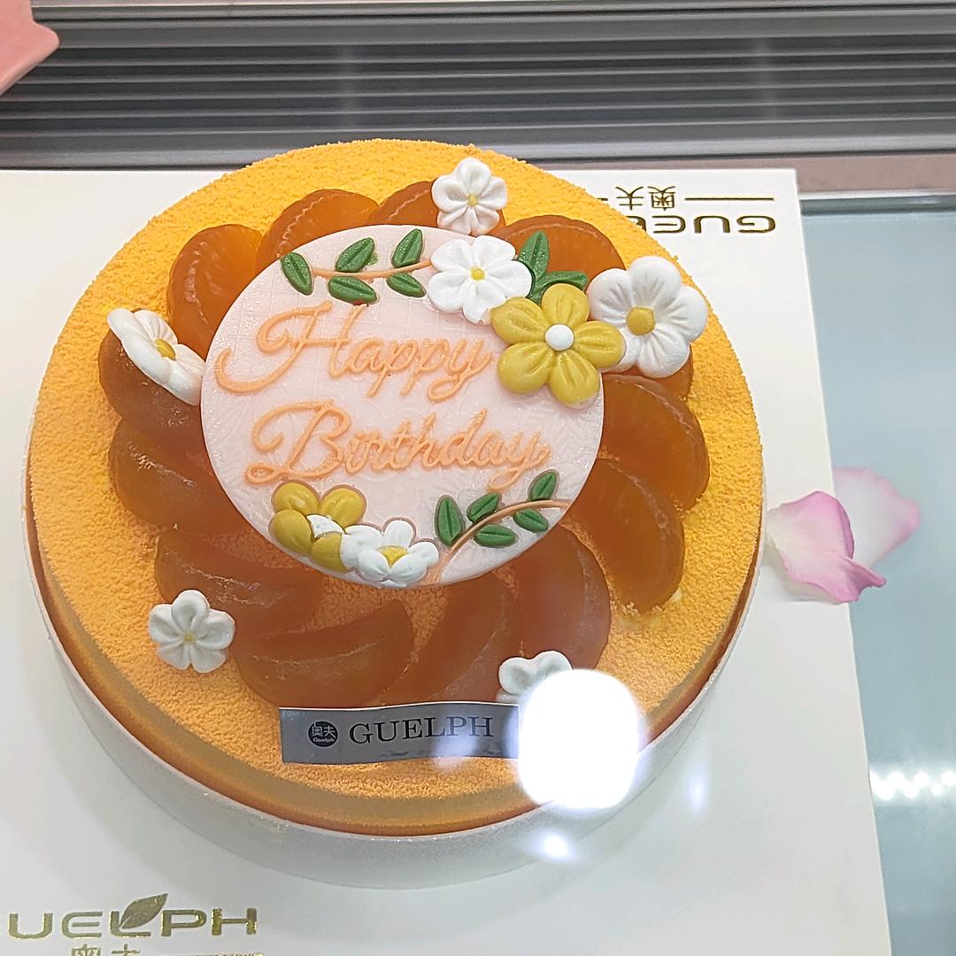 宣化区麦乐雅米法式蛋糕