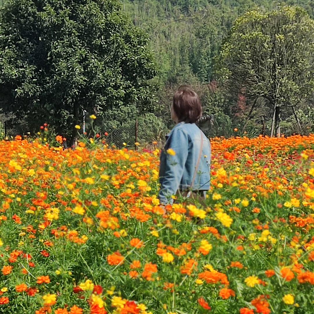 💐心有阳光🌹