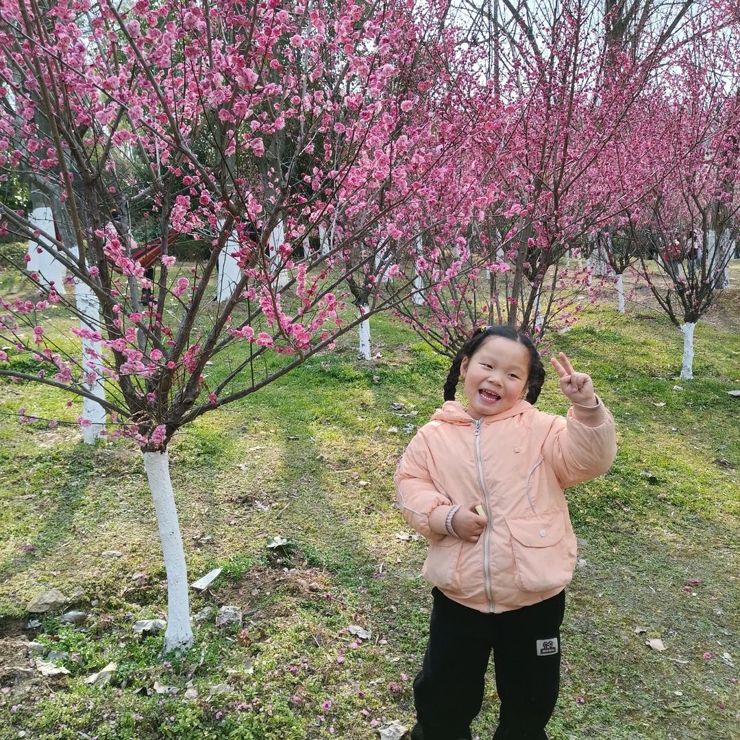 抹茶奶盖.柒
