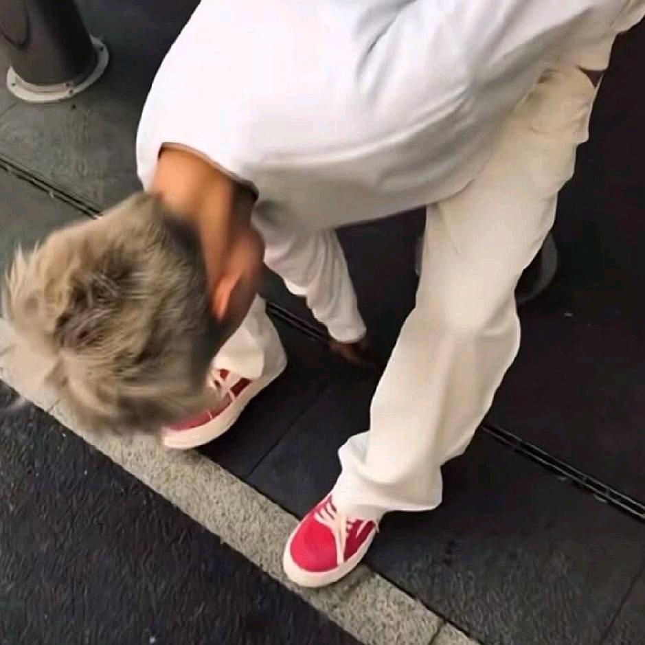 蜡笔不小新.