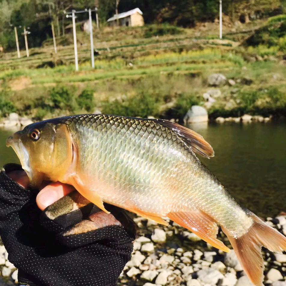 小波🎣路亚