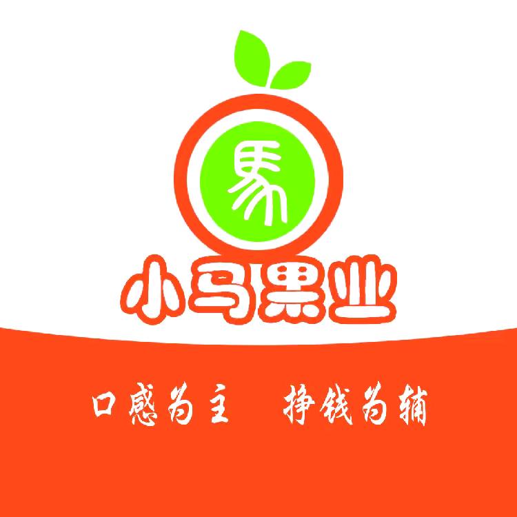 宁夏硒砂瓜小马团队全国代发【助农】