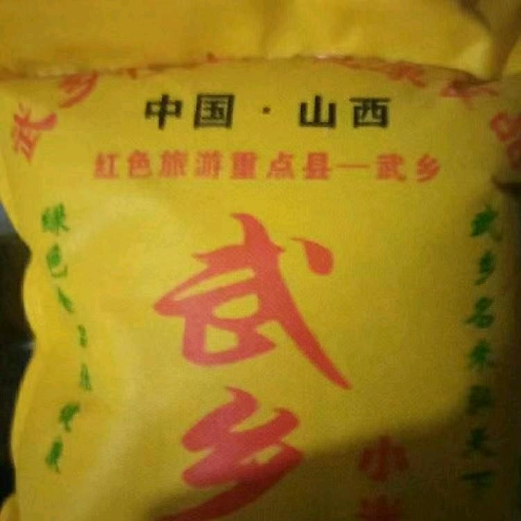 美丽的传说6216