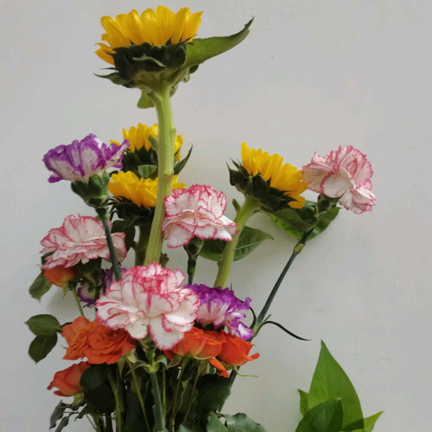 🌻小林子🌻