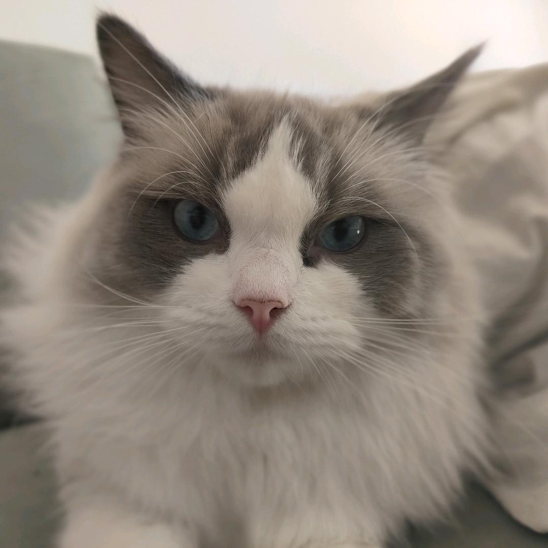 古希腊掌管数学题的神