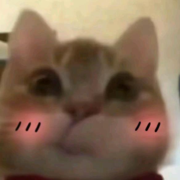 (≧∇≦)/
