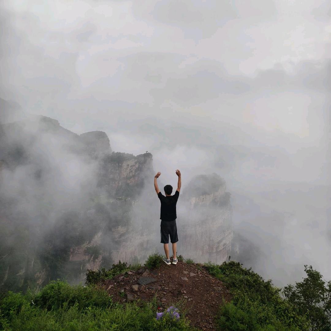 鲨鱼