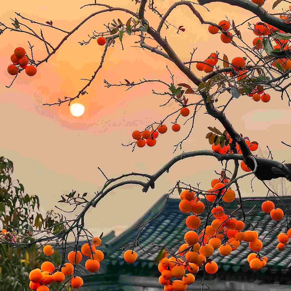 互关送心心❤️❤️