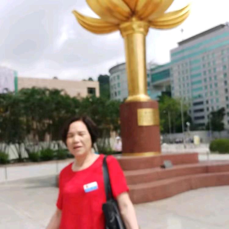 如意奶奶