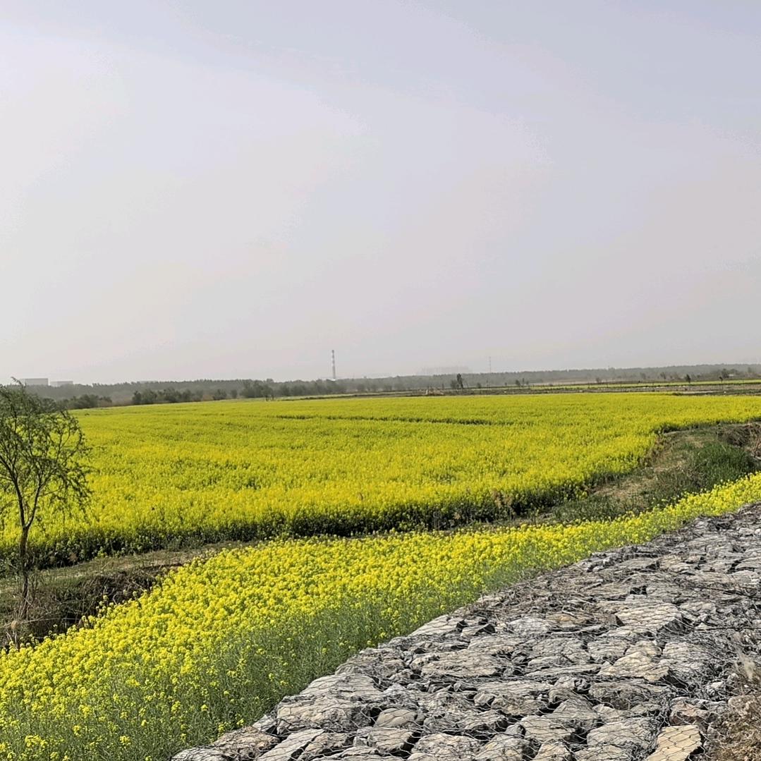 吼哈吼哈吼哈哈