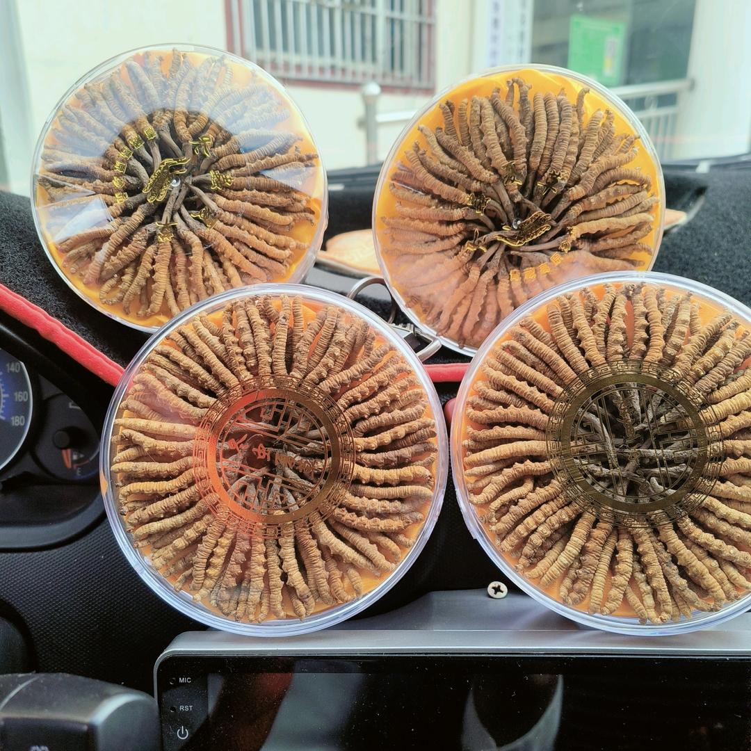 山药之王冬虫夏草