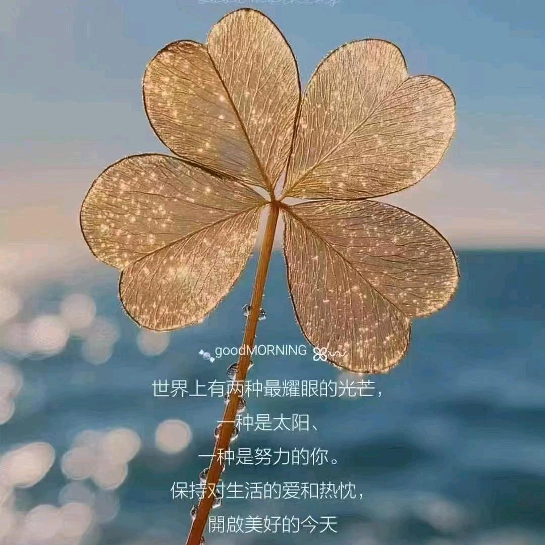 他他他