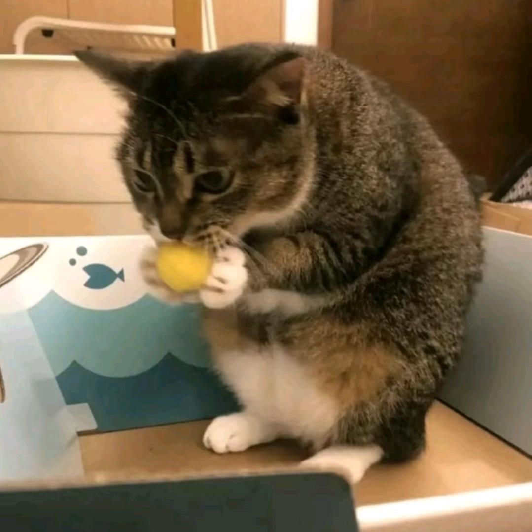 华旅宜致酒店-东山口颜霸（🐷🧠）