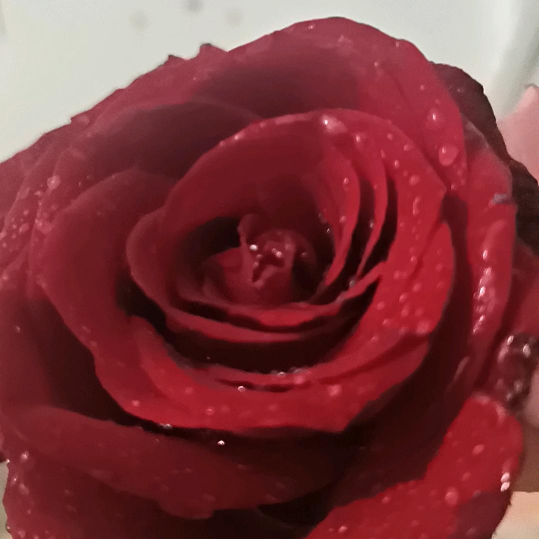 🌈邓🔥火❤️辉💕黄🌈