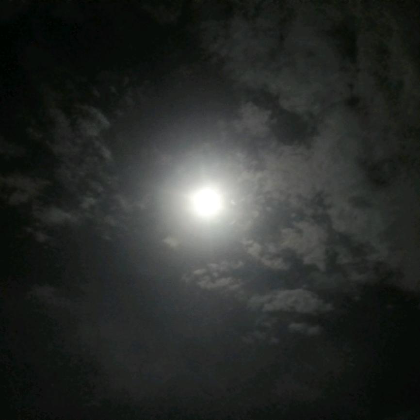 黑粉头子吕小布