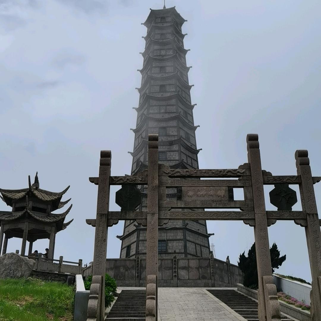 菩提根