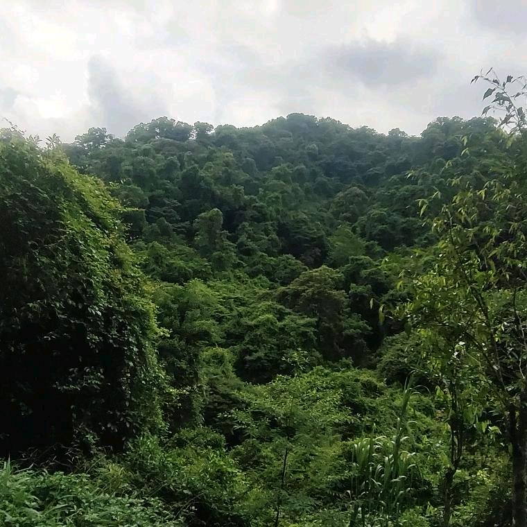 冰封十年