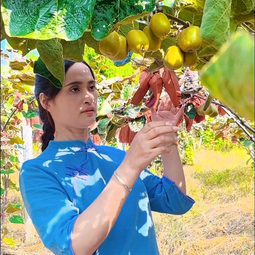 王家姑娘吖