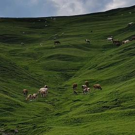 阿弥陀佛🙏🙏🙏🏃🏃🏃🚴