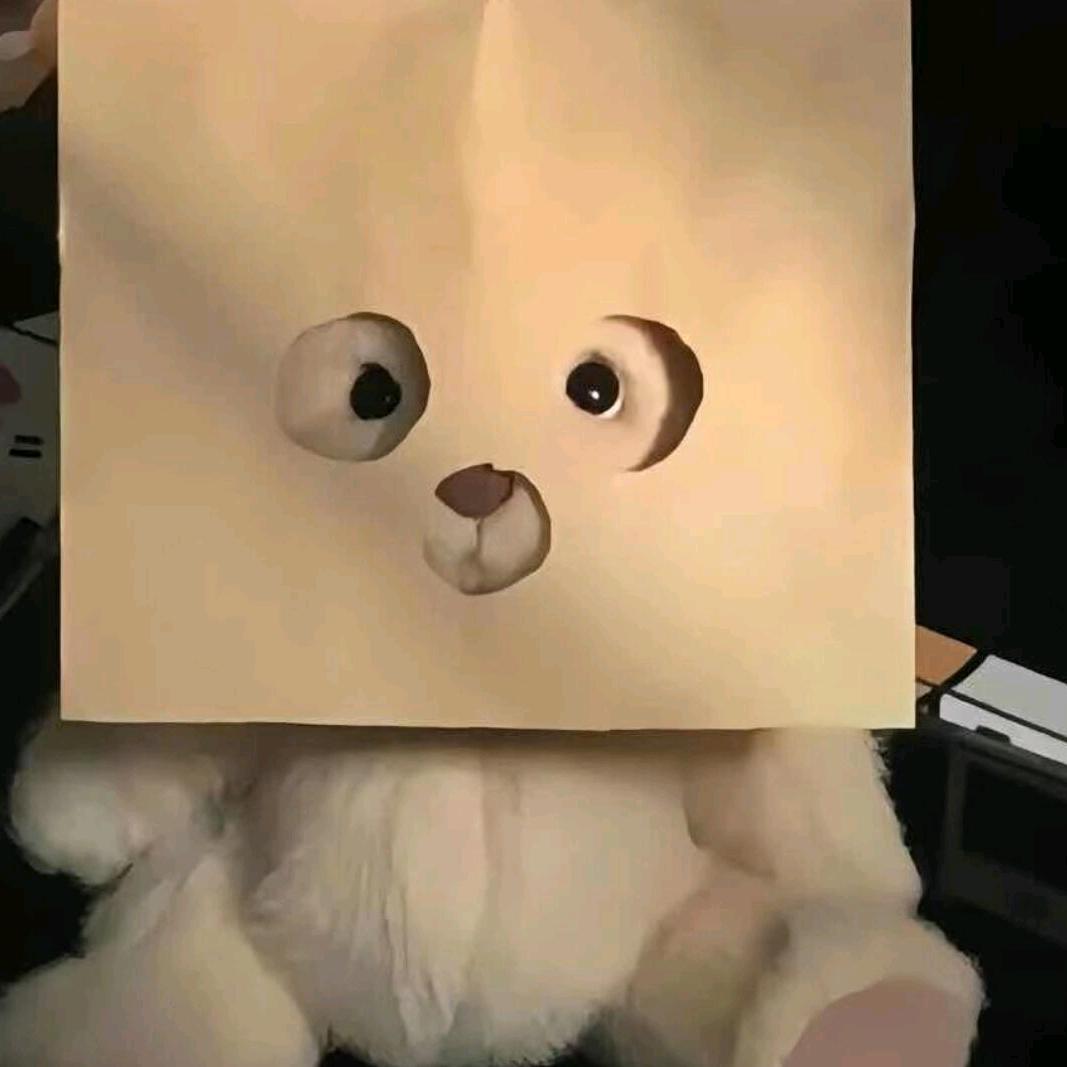 蒙面小熊