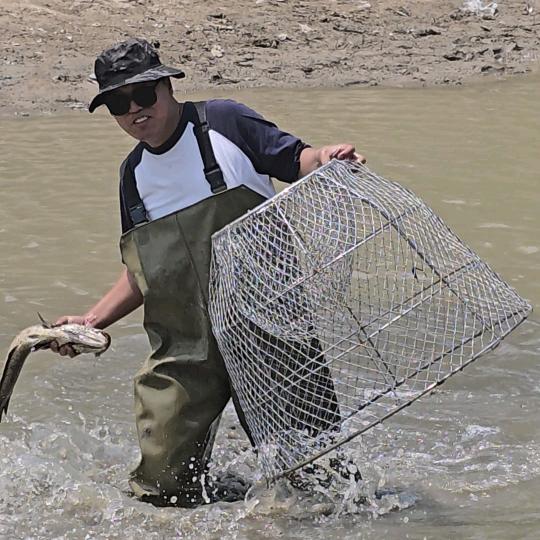 双德鱼罩扣鱼网