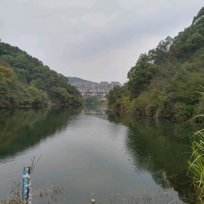 梅子