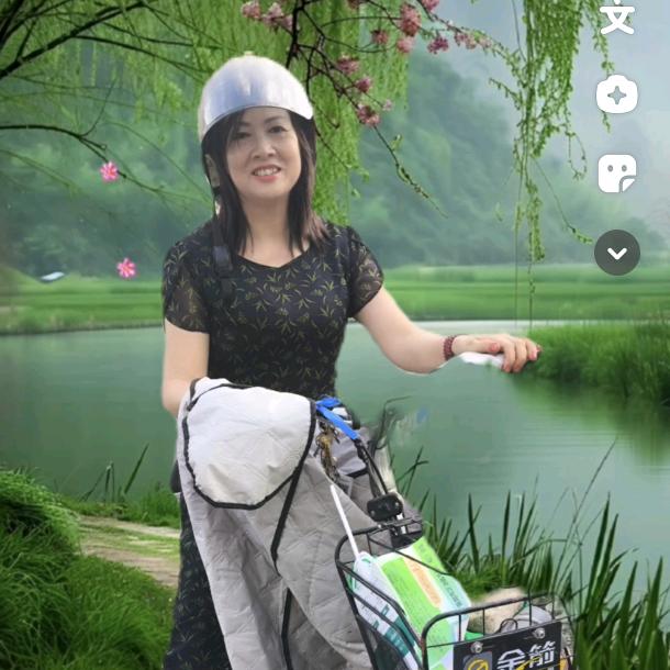 冷雨敲窗