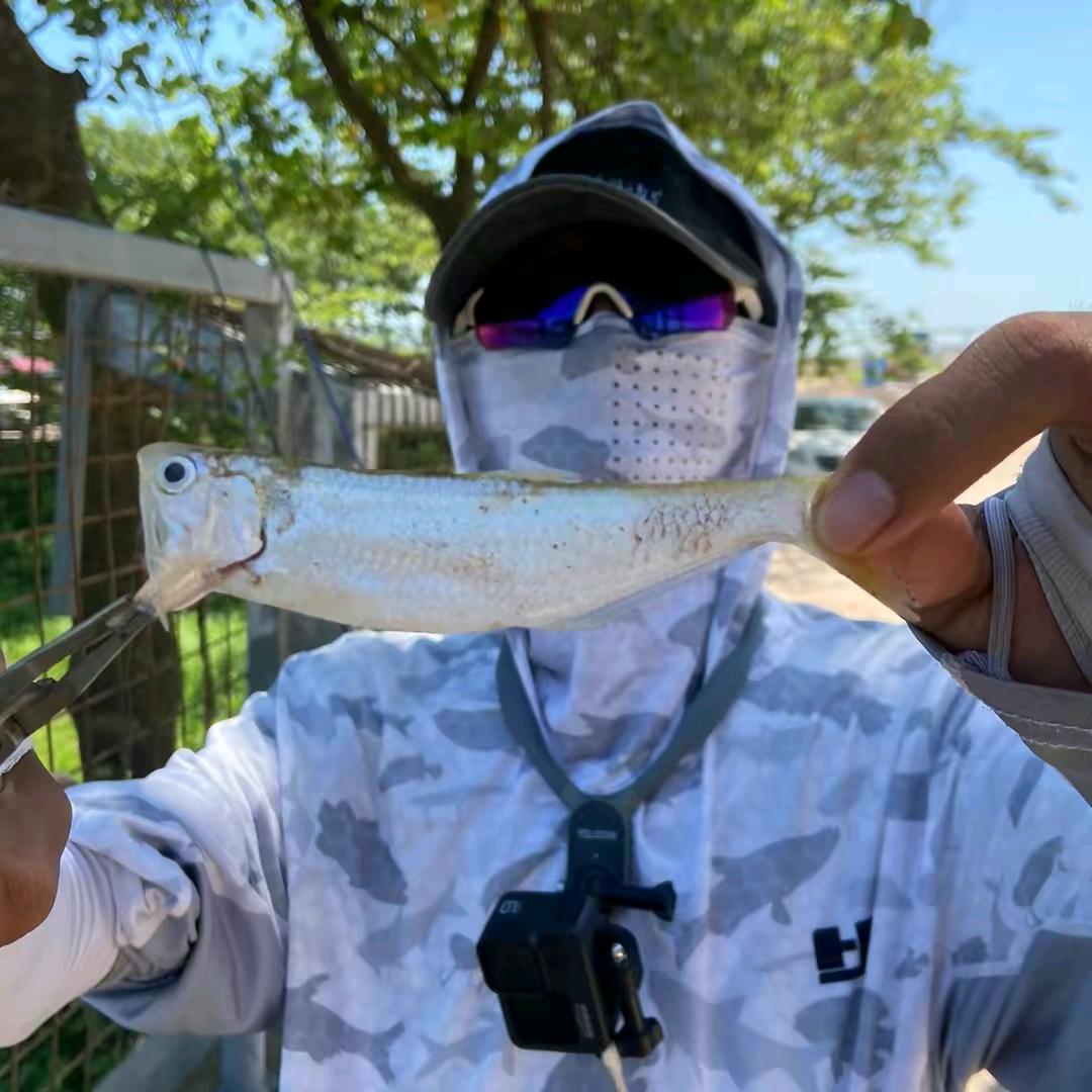 路亚钓手阿橙🎣（雨神战队副队长）