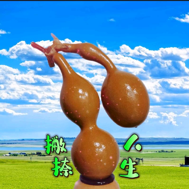 撇捺人生