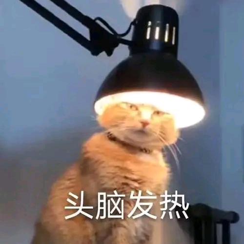 鱼鱼鱼