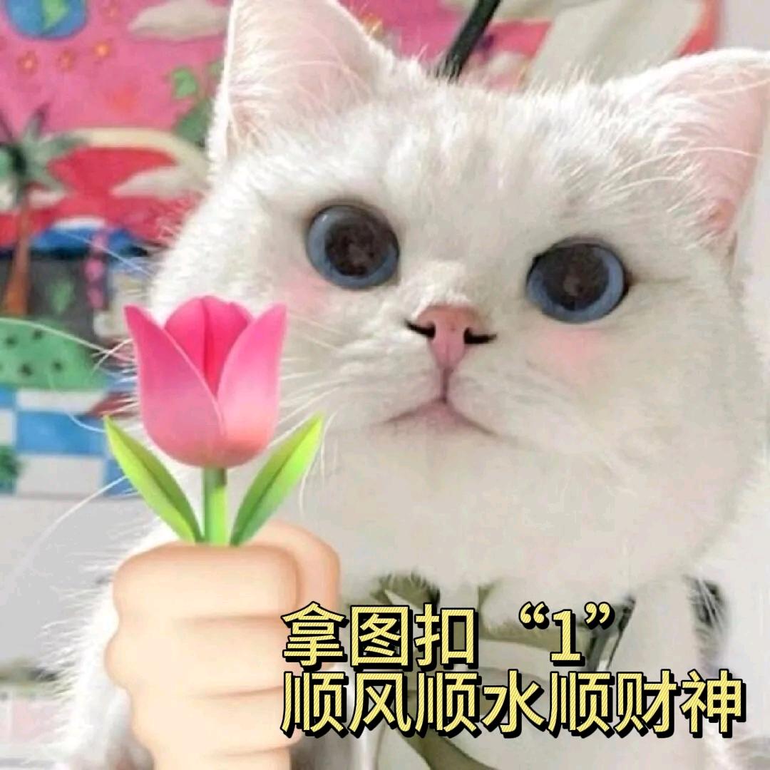 容儿࿐