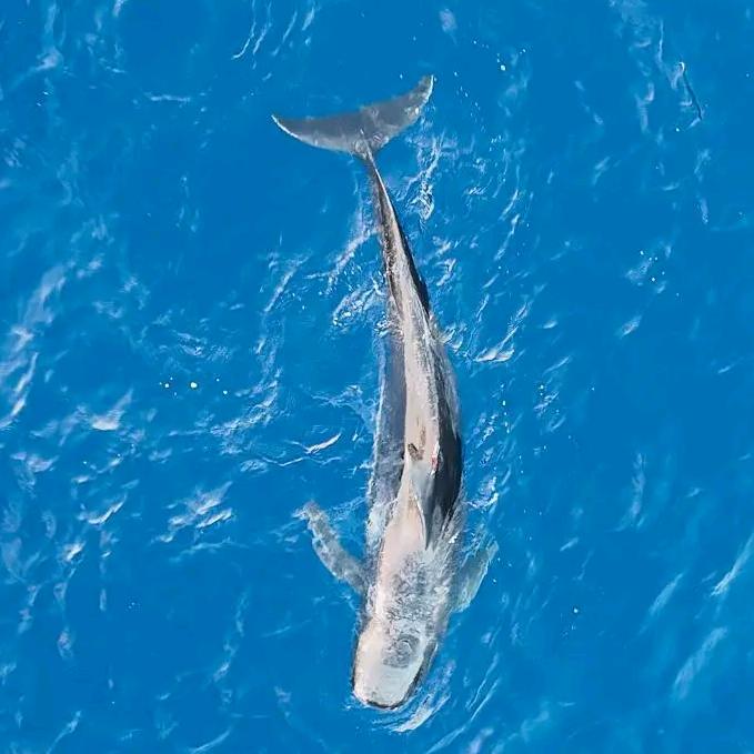 渔洋鲜品质生鲜