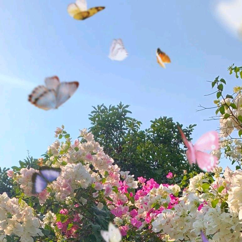 很困的奥利奥oᐝ