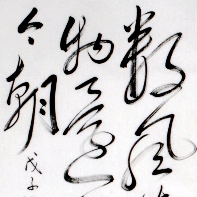 seakins头像