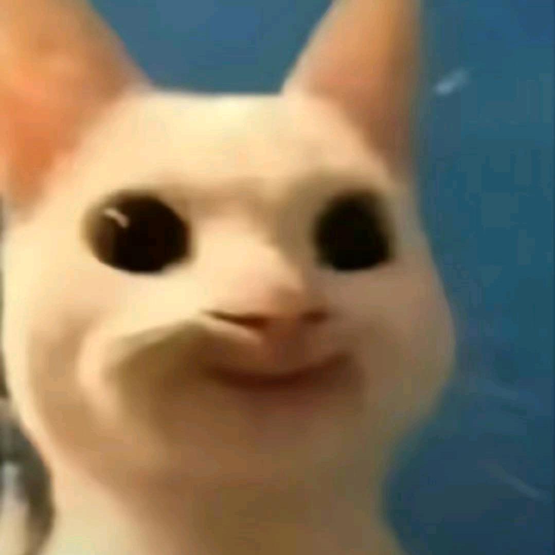 贤鱼