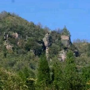 寸土必争、卷土重来、